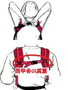 背中のストラップのポイント