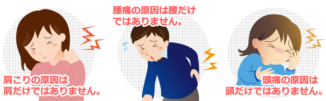 肩こりの原因は肩だけではありません。腰痛の原因は腰だけではありません。腰痛の原因は腰だけではありません。